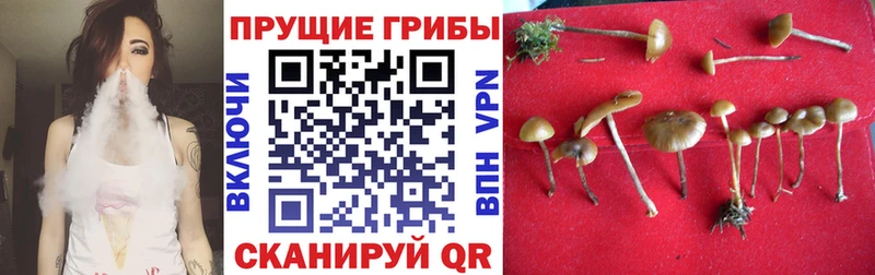 Псилоцибиновые грибы мухоморы  kraken tor  Тейково 